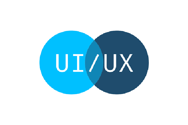 UI/UX Developer